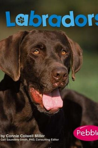 Cover of Labradors
