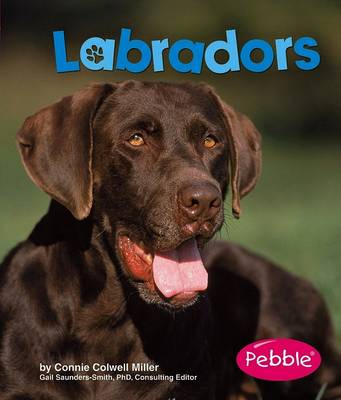 Cover of Labradors