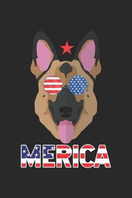 Book cover for Merica