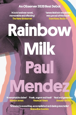 Book cover for Rainbow Milk