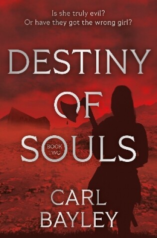 Cover of Destiny of Souls