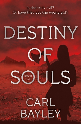 Cover of Destiny of Souls