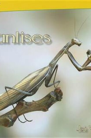 Cover of Mantises