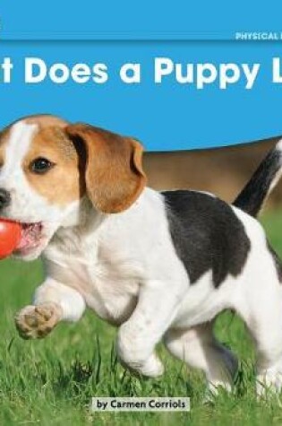 Cover of What Does a Puppy Like? Leveled Text