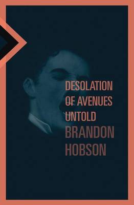 Book cover for Desolation of Avenues Untold