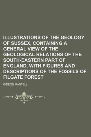 Cover of Illustrations of the Geology of Sussex, Containing a General View of the Geological Relations of the South-Eastern Part of England, with Figures and Descriptions of the Fossils of Filgate Forest