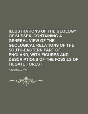 Book cover for Illustrations of the Geology of Sussex, Containing a General View of the Geological Relations of the South-Eastern Part of England, with Figures and Descriptions of the Fossils of Filgate Forest