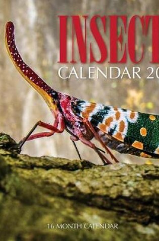 Cover of Insects Calendar 2016