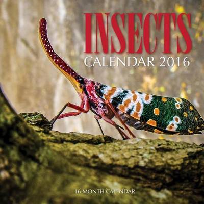 Book cover for Insects Calendar 2016