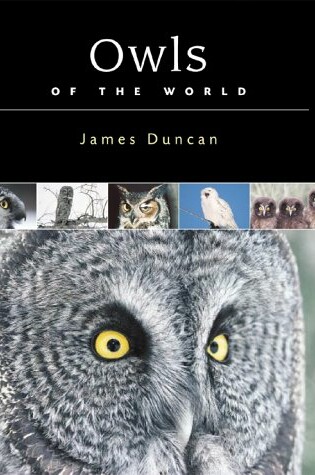 Cover of Owls of the World