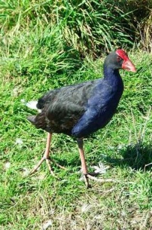 Cover of Pukeko Swamp-Hen New Zealand Wading Bird Journal