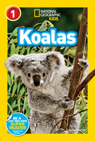 Cover of National Geographic Readers: Koalas