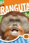 Book cover for Being an Orangutan