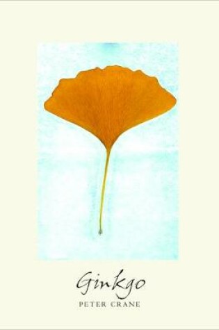 Cover of Ginkgo