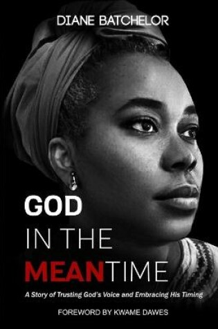 Cover of God in the Meantime