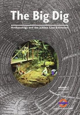 Book cover for The Big Dig