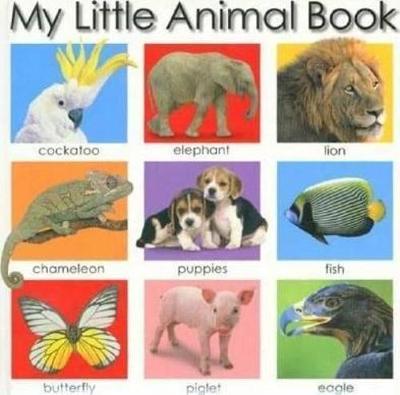 Book cover for My Little Animal Book