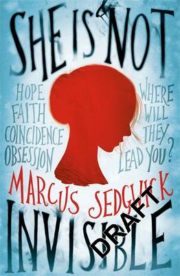 Book cover for She Is Not Invisible