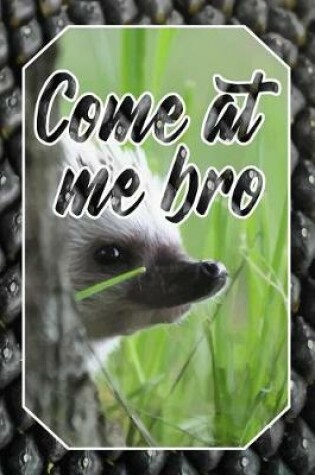 Cover of Come at Me Bro