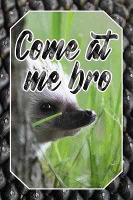 Book cover for Come at Me Bro