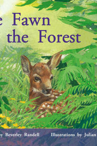 Cover of The Fawn in the Forest