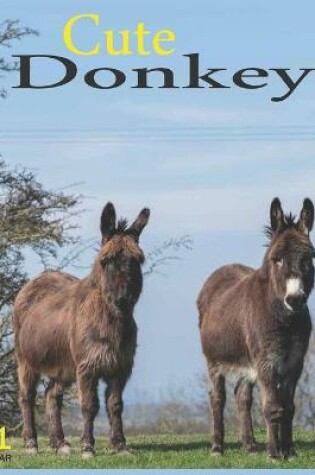 Cover of Cute Donkeys