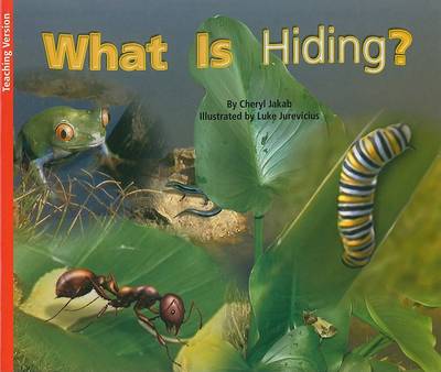 Cover of What Is Hiding?