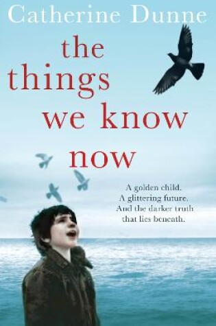 Cover of The Things We Know Now