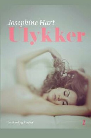 Cover of Ulykker 1