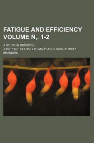 Cover of Fatigue and Efficiency Volume N . 1-2; A Study in Industry