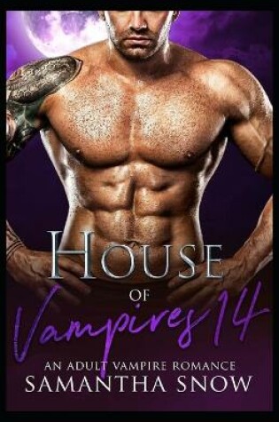 Cover of House Of Vampires 14