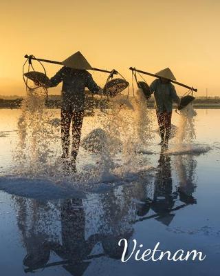 Book cover for Vietnam