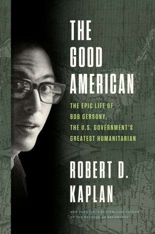 Book cover for Good American