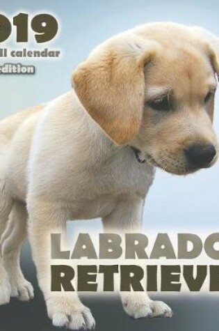 Cover of Labrador Retriever 2019 Mini Wall Calendar (UK Edition)