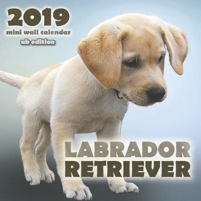 Book cover for Labrador Retriever 2019 Mini Wall Calendar (UK Edition)