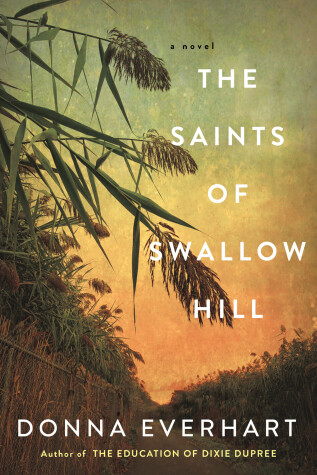 Book cover for The Saints of Swallow Hill