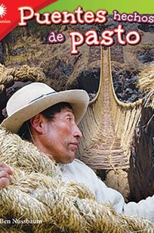 Cover of Puentes hechos de pasto (From Grass to Bridge)