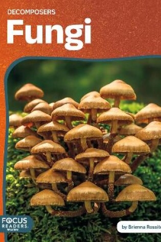 Cover of Fungi