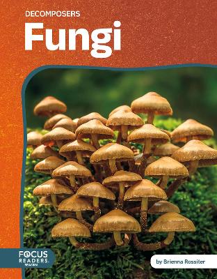 Cover of Fungi