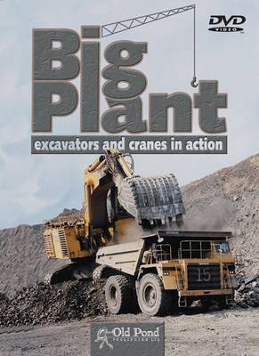 Book cover for Big Plant