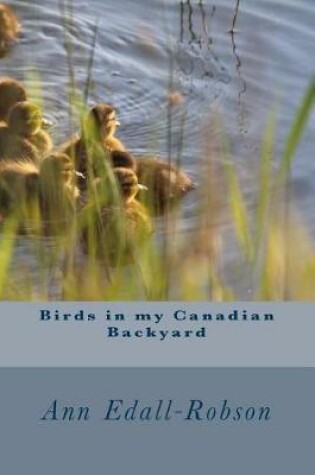 Cover of Birds in my Canadian Backyard