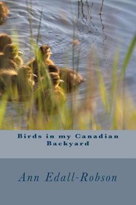 Cover of Birds in my Canadian Backyard