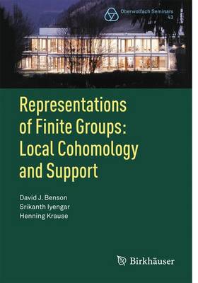 Book cover for Representations of Finite Groups: Local Cohomology and Support