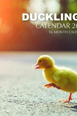 Cover of Ducklings Calendar 2019