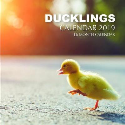 Book cover for Ducklings Calendar 2019