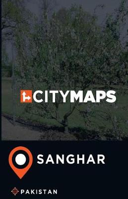 Book cover for City Maps Sanghar Pakistan