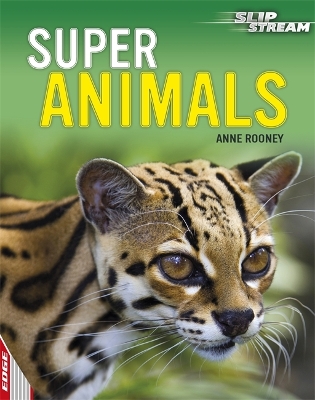 Cover of EDGE: Slipstream Non-Fiction Level 1: Super Animals