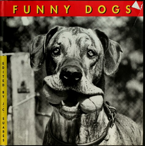 Book cover for Funny Dogs