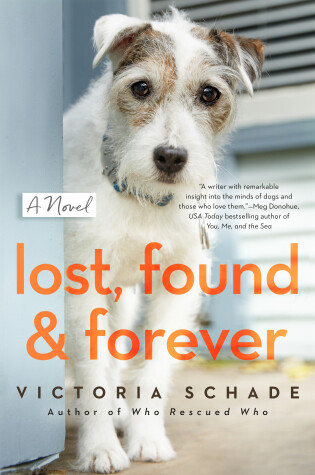 Book cover for Lost, Found, and Forever