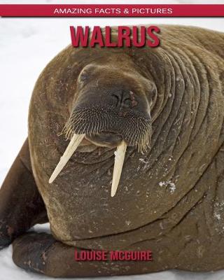 Book cover for Walrus